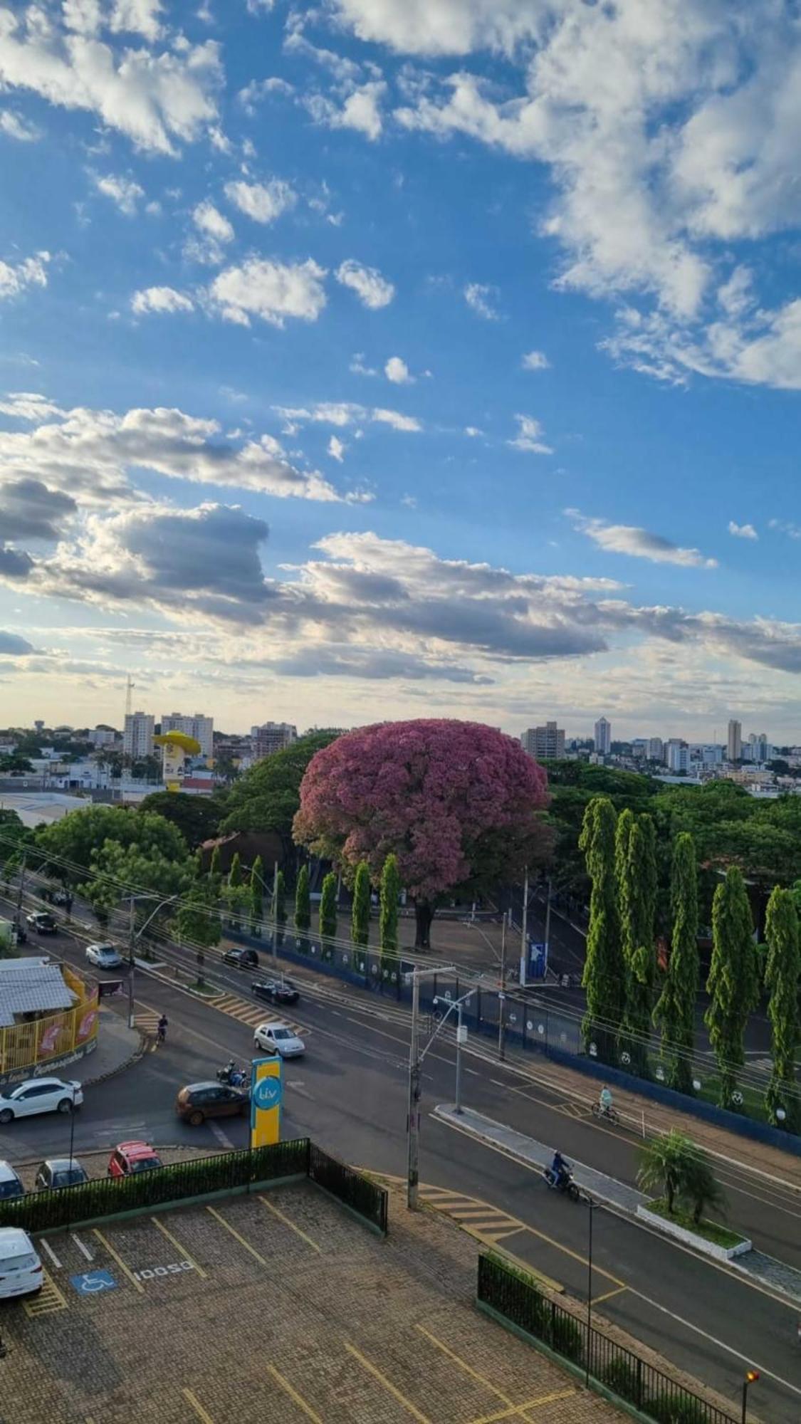 Hotel Golden Park Uberaba By Nacional Inn 部屋 写真